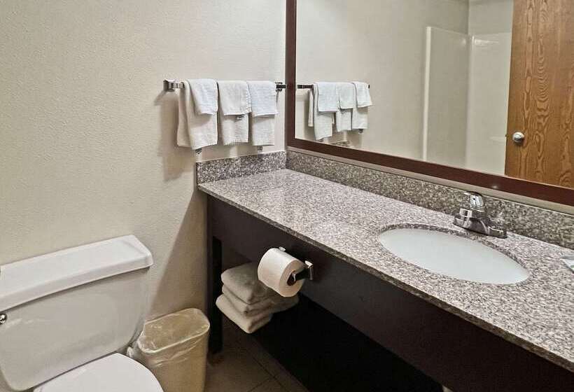 Отель Quality Inn Mitchell I 90