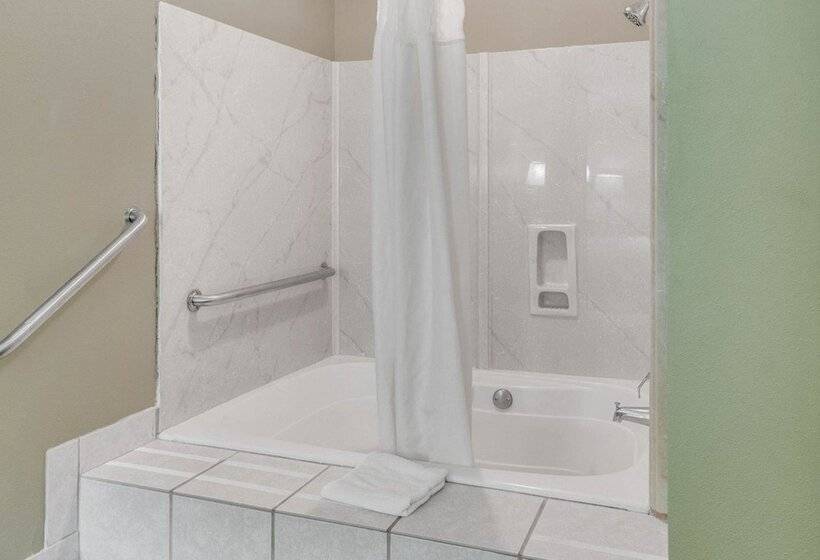 ホテル Quality Inn Mt. Pleasant