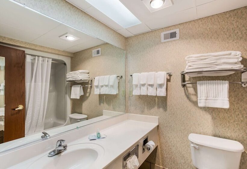 فندق Quality Inn & Suites