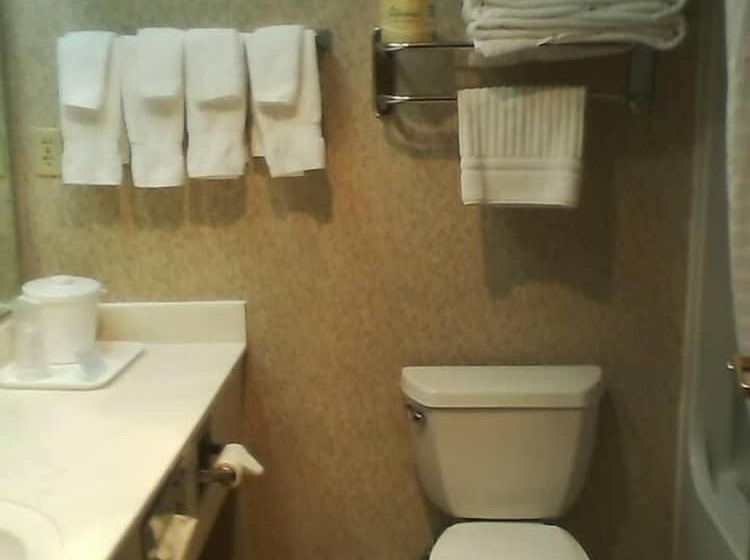 فندق Quality Inn & Suites