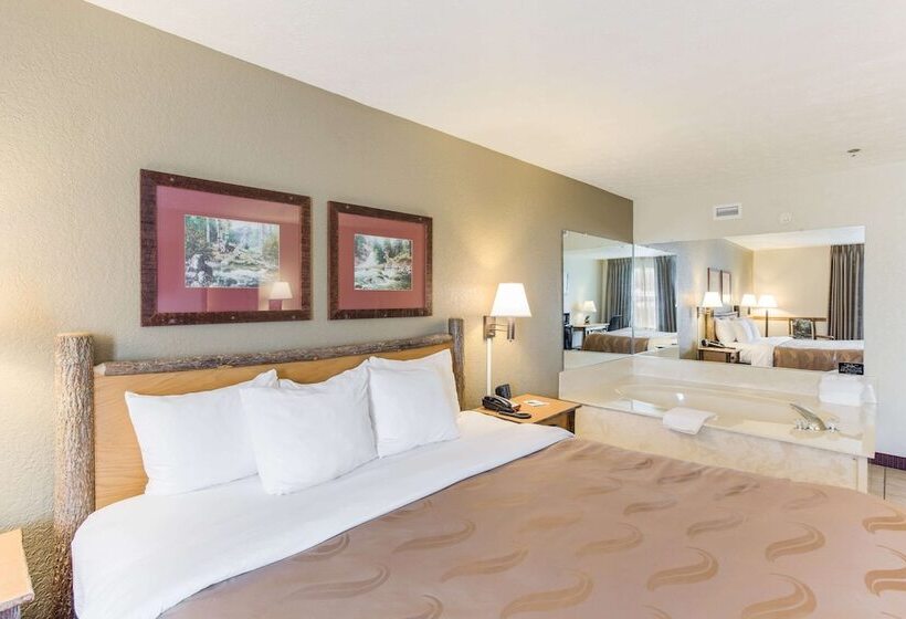 فندق Quality Inn & Suites