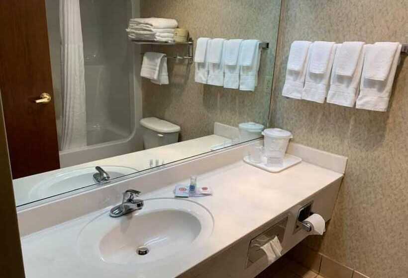 فندق Quality Inn & Suites