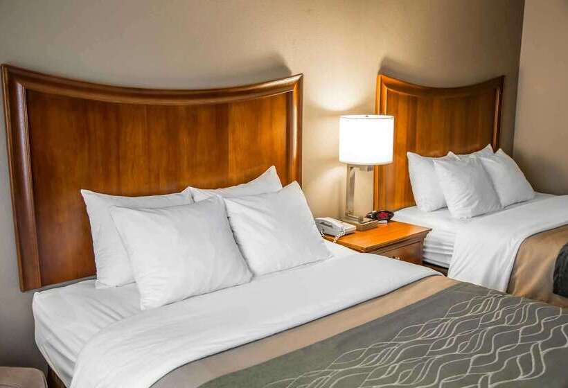 酒店 Quality Inn & Suites