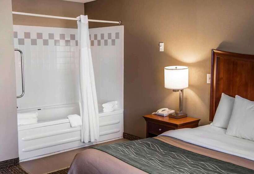 酒店 Quality Inn & Suites