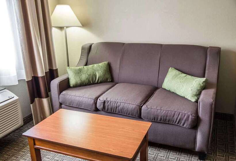 酒店 Quality Inn & Suites