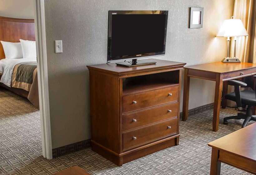 酒店 Quality Inn & Suites