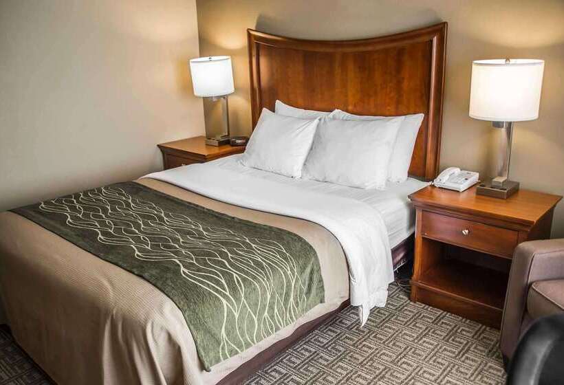 酒店 Quality Inn & Suites