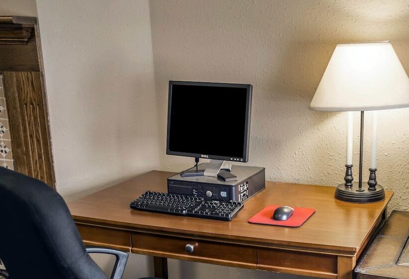 酒店 Quality Inn & Suites