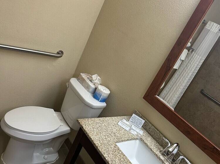 酒店 Quality Inn & Suites