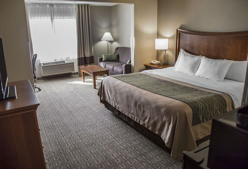 酒店 Quality Inn & Suites