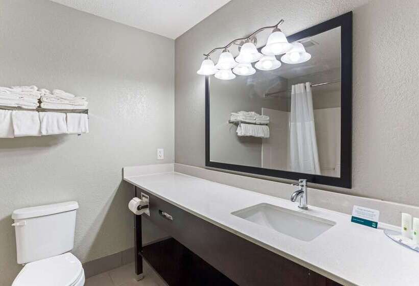 فندق Quality Inn & Suites