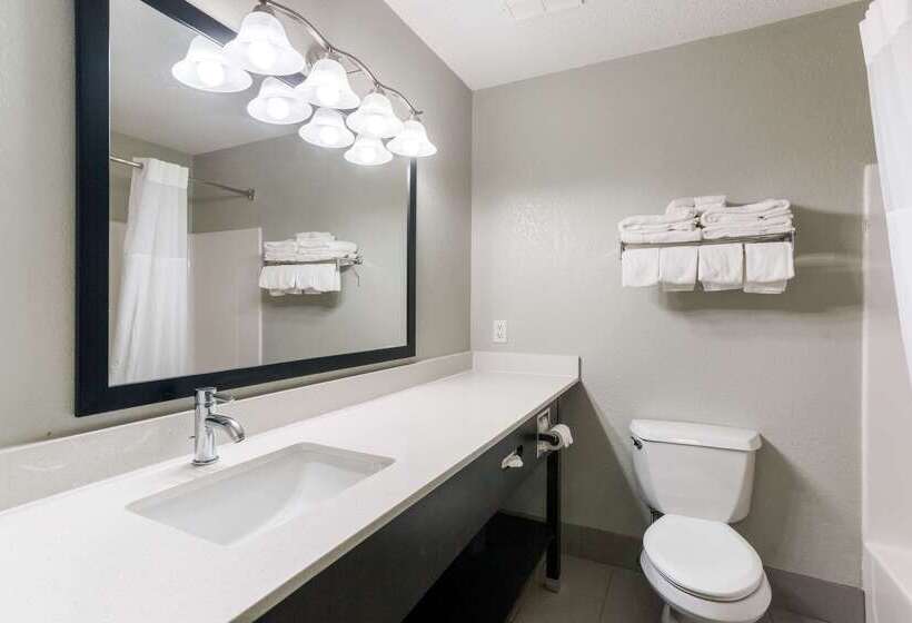 فندق Quality Inn & Suites