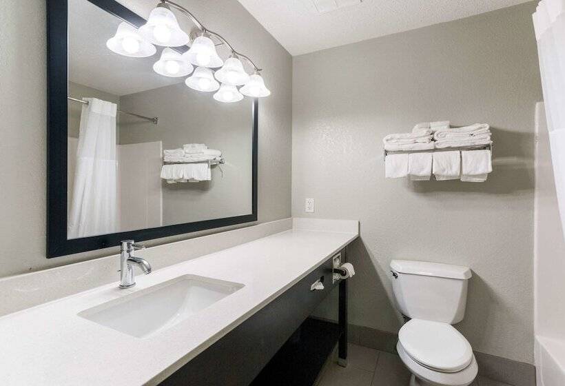 فندق Quality Inn & Suites