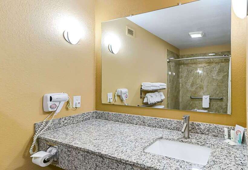 فندق Quality Inn & Suites