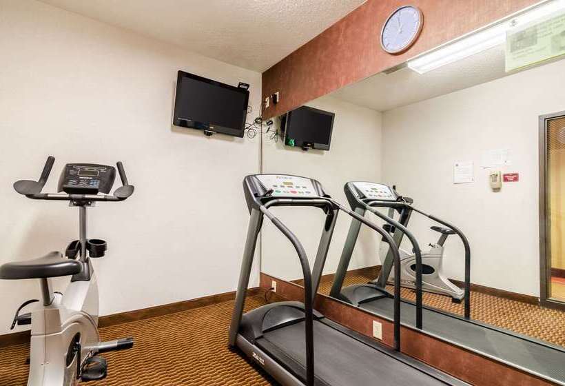 酒店 Quality Inn & Suites