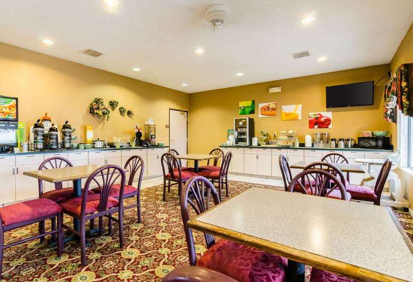 酒店 Quality Inn & Suites