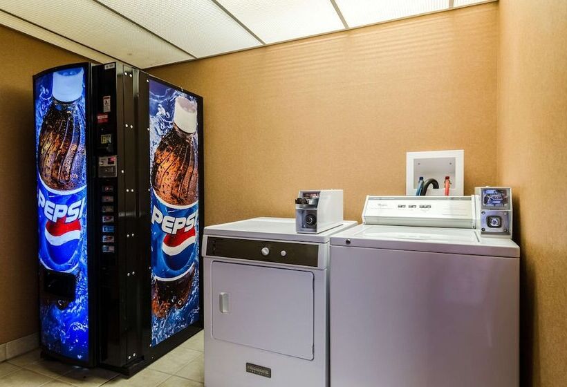 酒店 Quality Inn & Suites