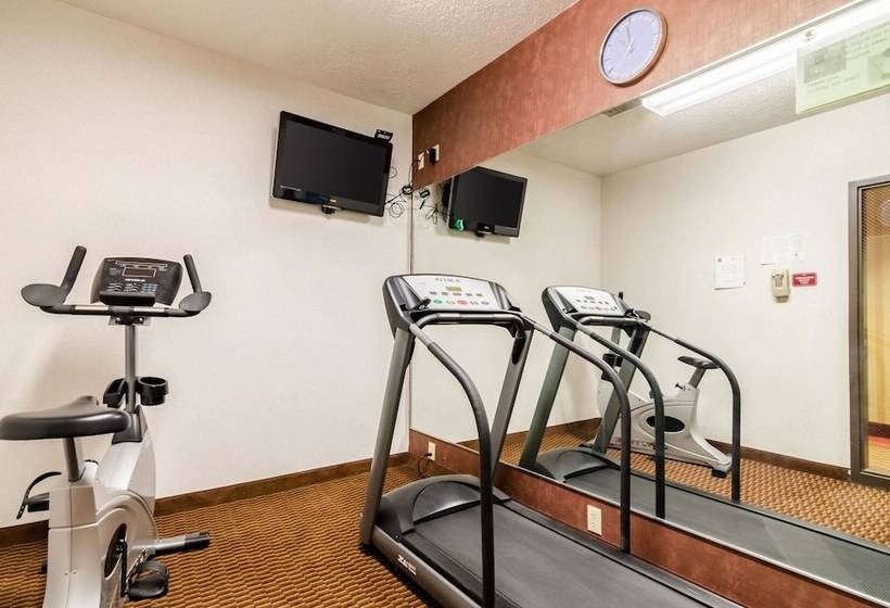 酒店 Quality Inn & Suites