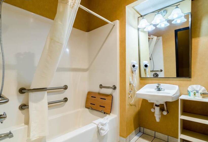 酒店 Quality Inn & Suites