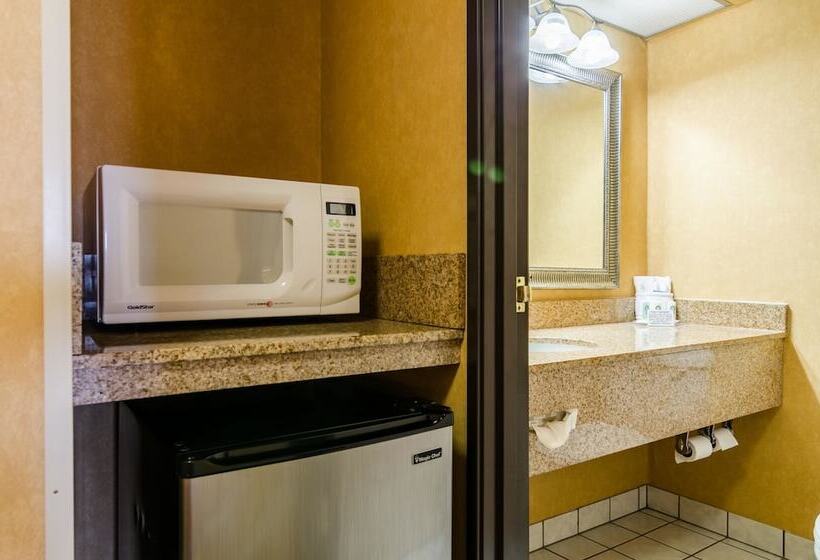 酒店 Quality Inn & Suites