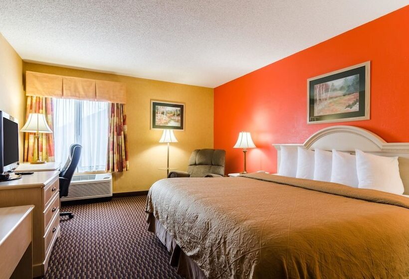 酒店 Quality Inn & Suites