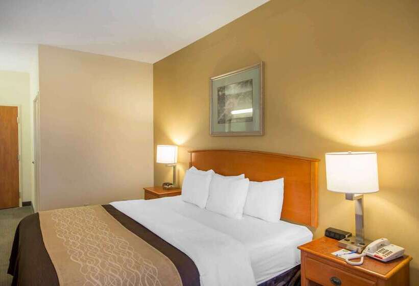 호텔 Quality Inn & Suites Midamerica Industrial Park Area