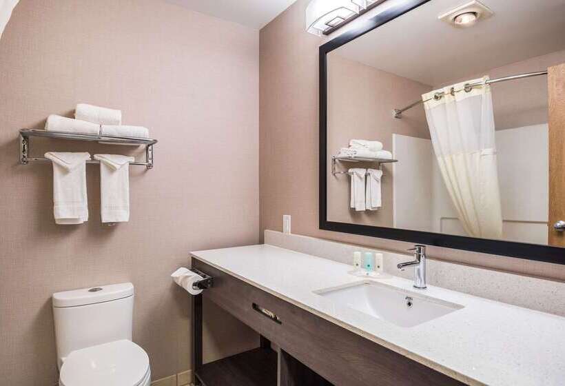 هتل Quality Inn & Suites