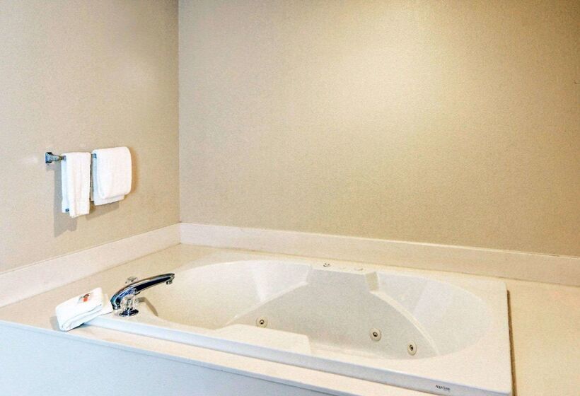 בית מלון כפרי Quality Inn & Suites Wichita Falls I 44