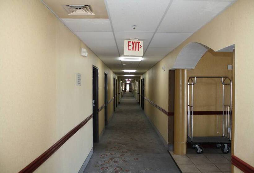 فندق Quality Inn & Suites Wichita Falls I 44