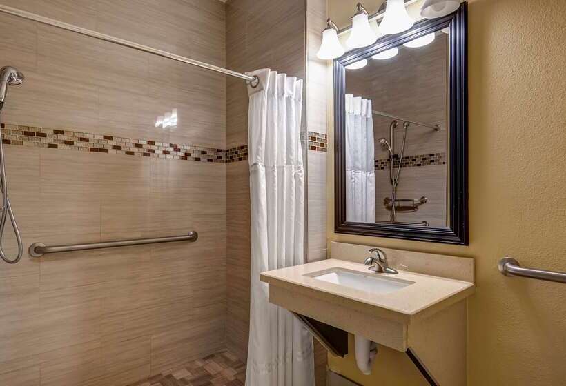 Surestay Plus Hotel By Best Western Alvin