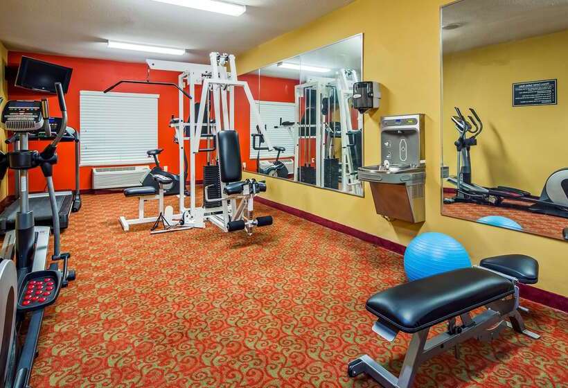 Surestay Plus Hotel By Best Western Alvin