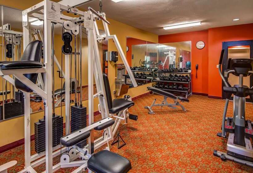 Surestay Plus Hotel By Best Western Alvin