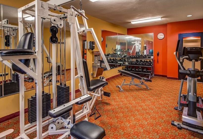 Surestay Plus Hotel By Best Western Alvin