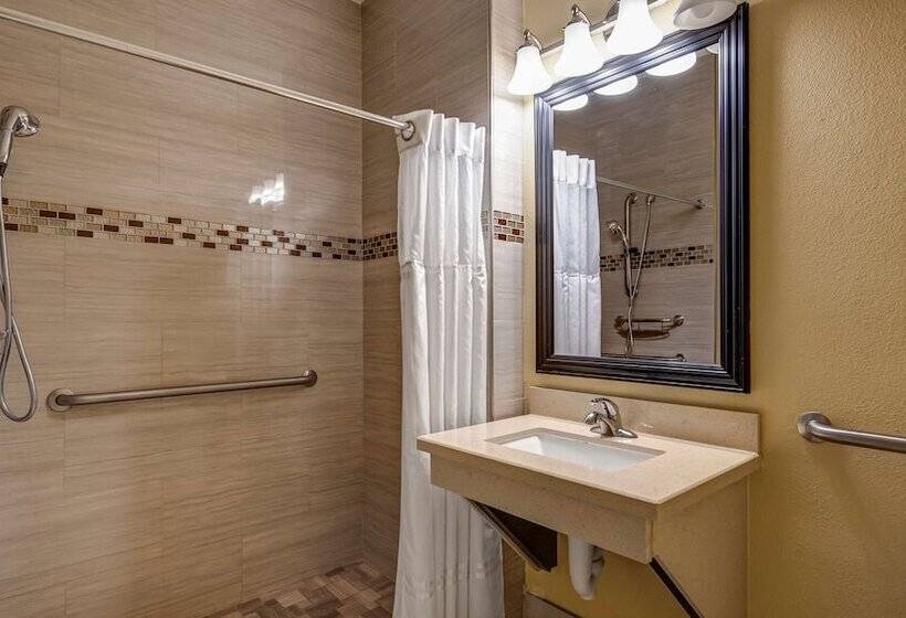 Surestay Plus Hotel By Best Western Alvin