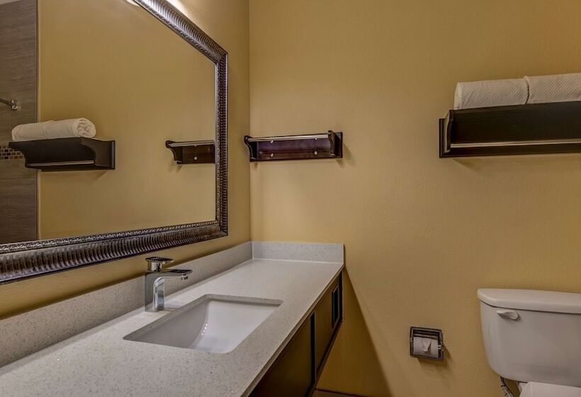 Surestay Plus Hotel By Best Western Alvin