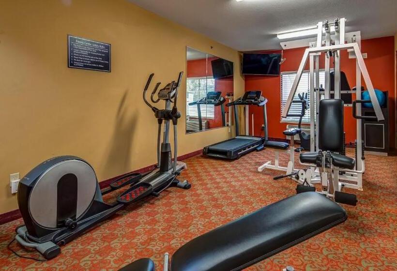 Surestay Plus Hotel By Best Western Alvin