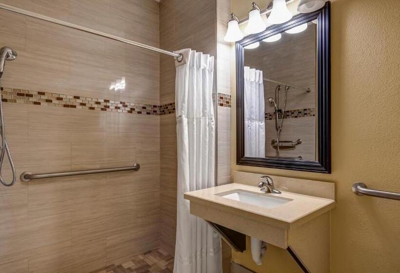 Surestay Plus Hotel By Best Western Alvin