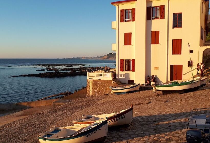 Отель Villa Catarie