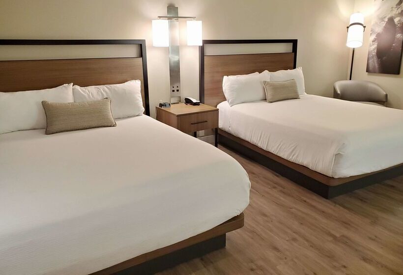 酒店 Wyndham Garden San Diego