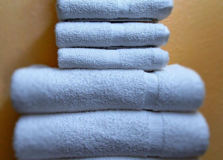 汽车旅馆 Countryside Inn