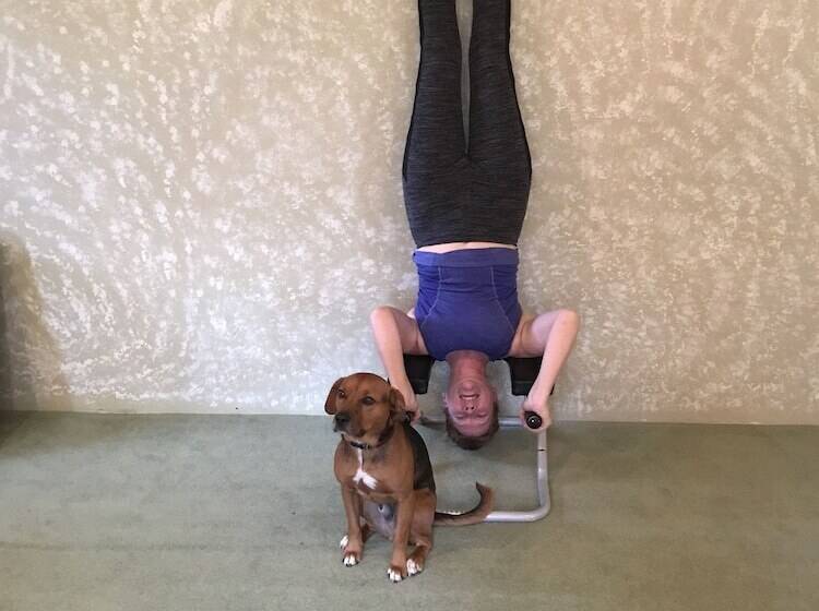 مبيت وإفطار Sewall House Yoga Retreat