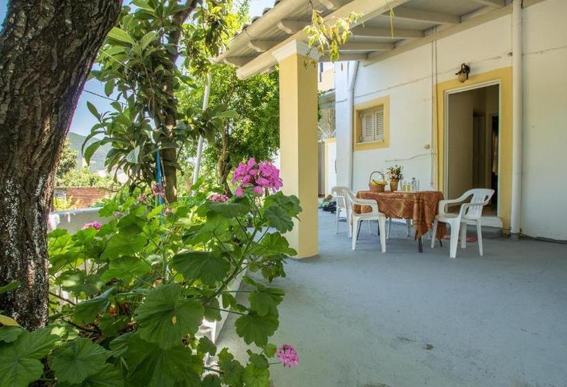 Aggeliki Apartments Dassia By Hotelius