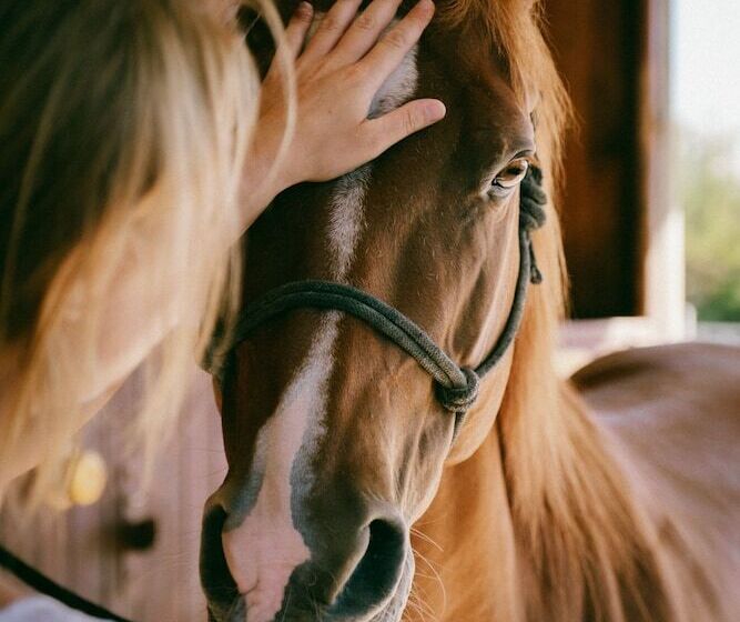 Fattoria Degli Usignoli
