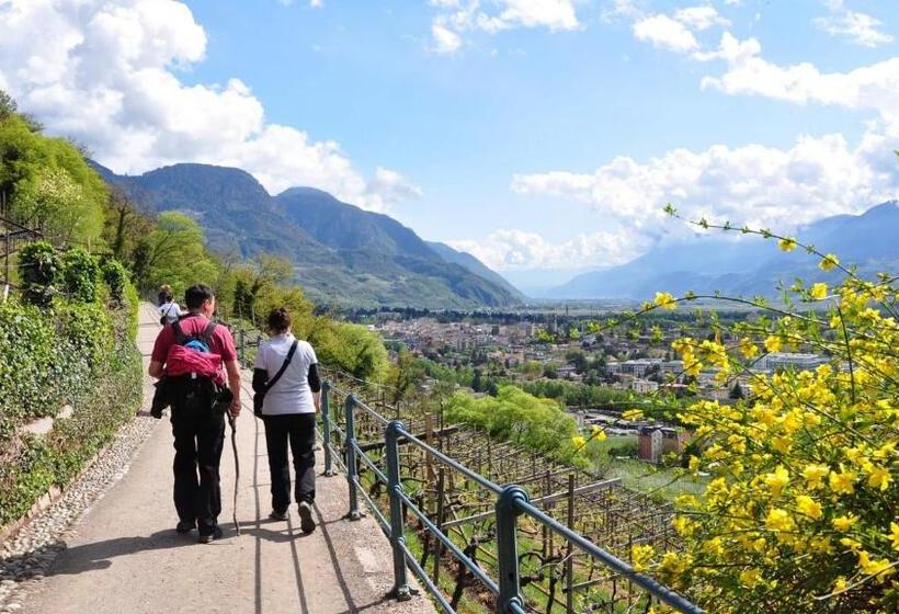 Flora Hotel & Suites