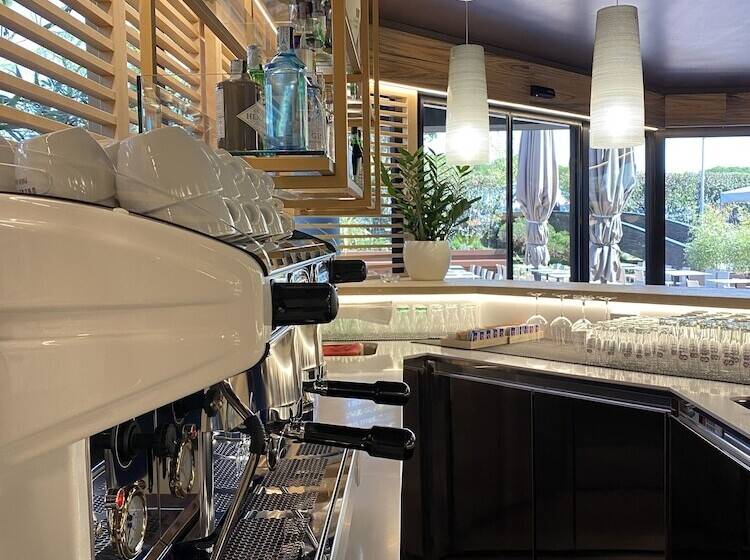 Alevic Hotel Sirmione