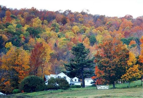 Отель Arcady At The Sunderland Lodge