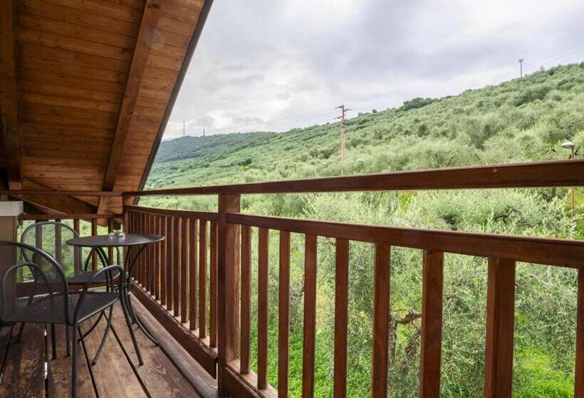 Отель Benacus Panoramic