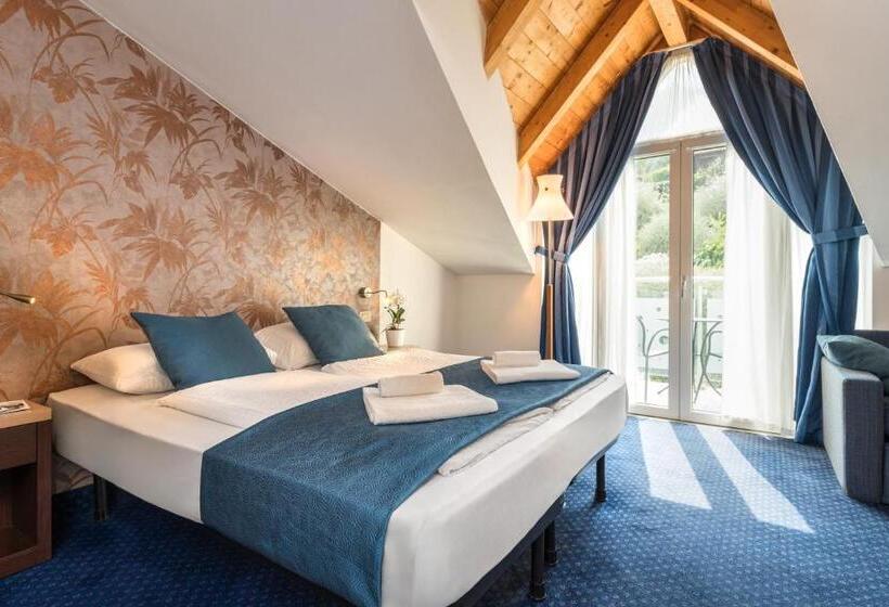 Отель Benacus Panoramic