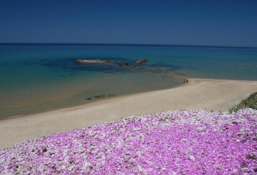 Best Western Hotel Blumarea