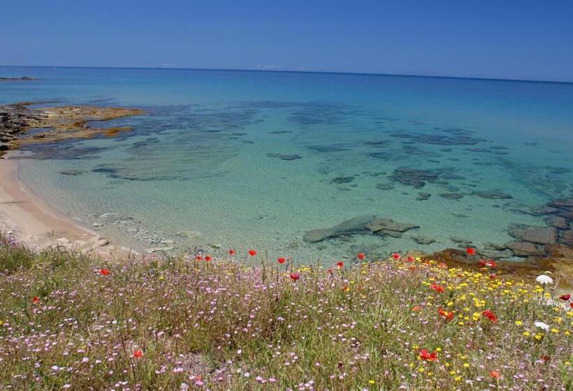 Best Western Hotel Blumarea